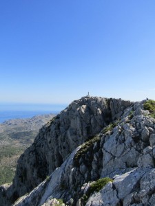 IMG_6961 (Medium)